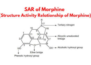 SAR of Morphine (Structure Activity Relationship of Morphine)