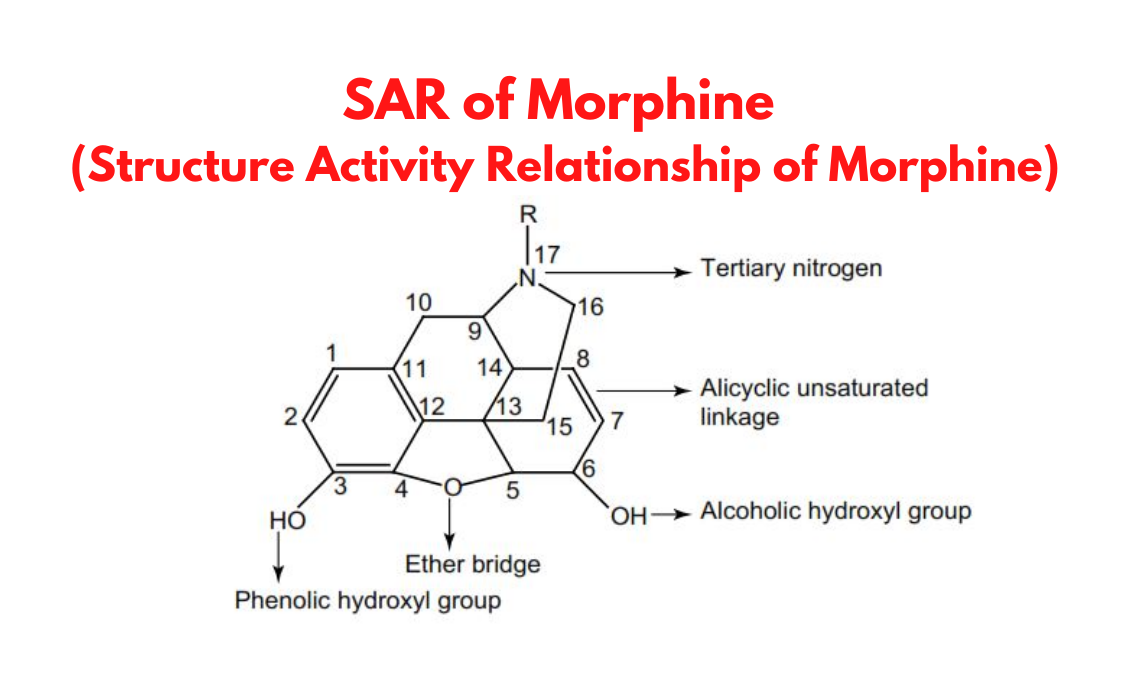 Morphine Functional Groups