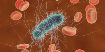 Classes of antibiotics and their Spectrum of Activity