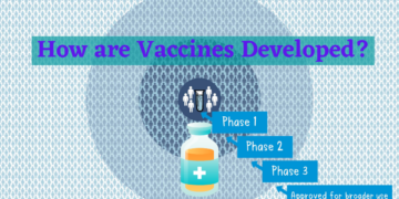 How vaccines are developed?