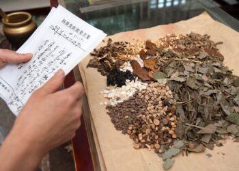 WHO Establishes the Global Centre for Traditional Medicine in India