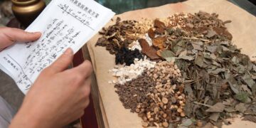 WHO Establishes the Global Centre for Traditional Medicine in India