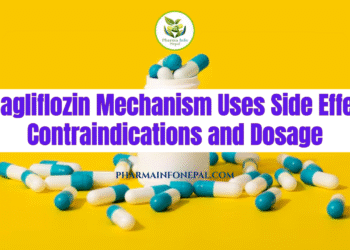 Dapagliflozin Mechanism Uses Side Effects Contraindications and Dosage