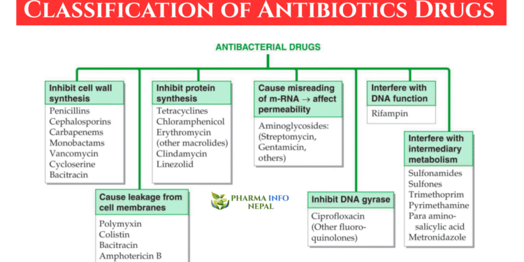 Classification Of Antibiotics Based On Mechanism Of Action Classification Of Antibiotics Based On Mechanism Of Action
