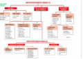 Classification of Antihypertensive Drugs