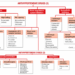 Classification of Antihypertensive Drugs