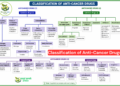 Classification of Anti-Cancer Drugs