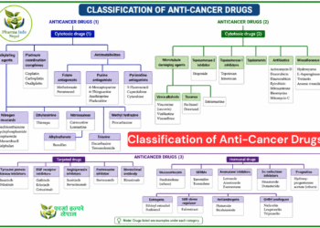 Classification of Anti-Cancer Drugs