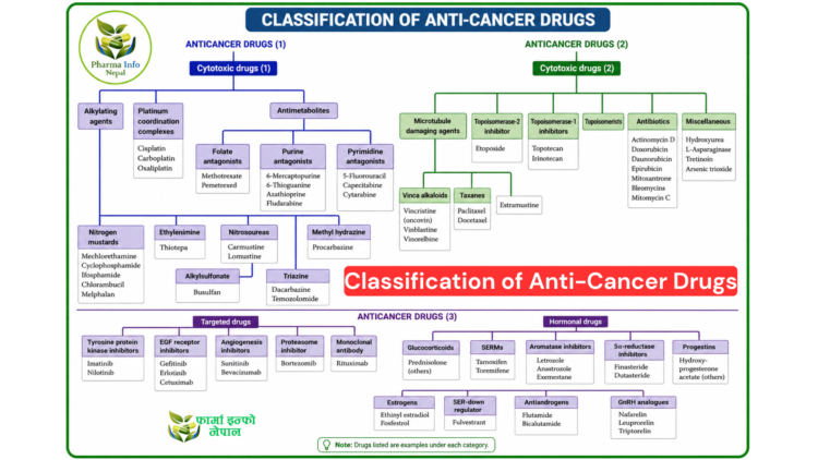 Classification of Anti-Cancer Drugs