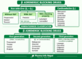 Classification of Beta-Blockers